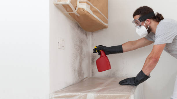 Professional Mold Remediation technician working in Merrick, NY